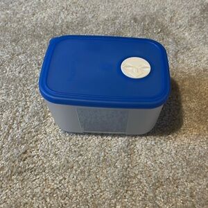 Tupperware fridge smart